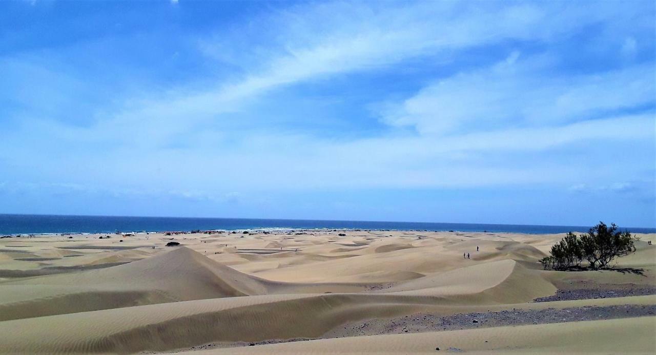 Avenida Tirajana Nº3 Leilighet Playa del Inglés Eksteriør bilde